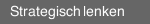 Strategisch lenken
